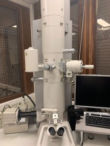Microscope Electronique à Transmission