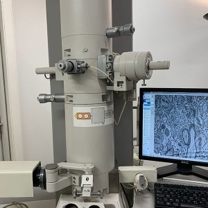 Microscope Electronique à Transmission